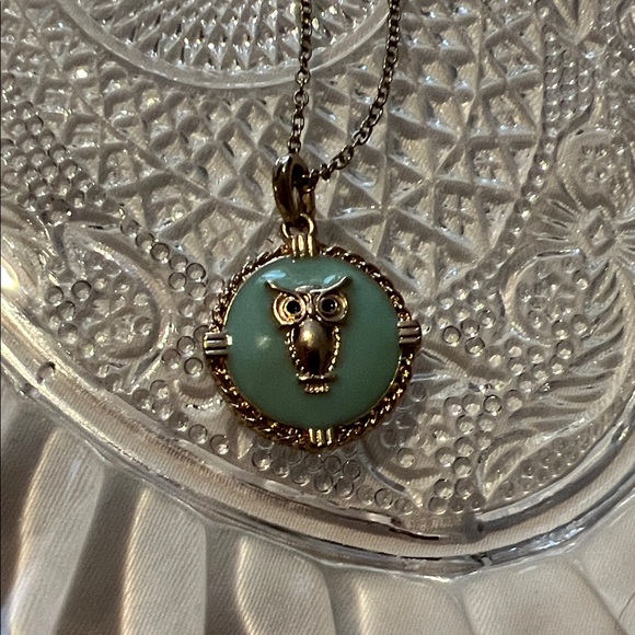 Gold and Turquoise Owl Pendant Necklace - Picture 2 of 2